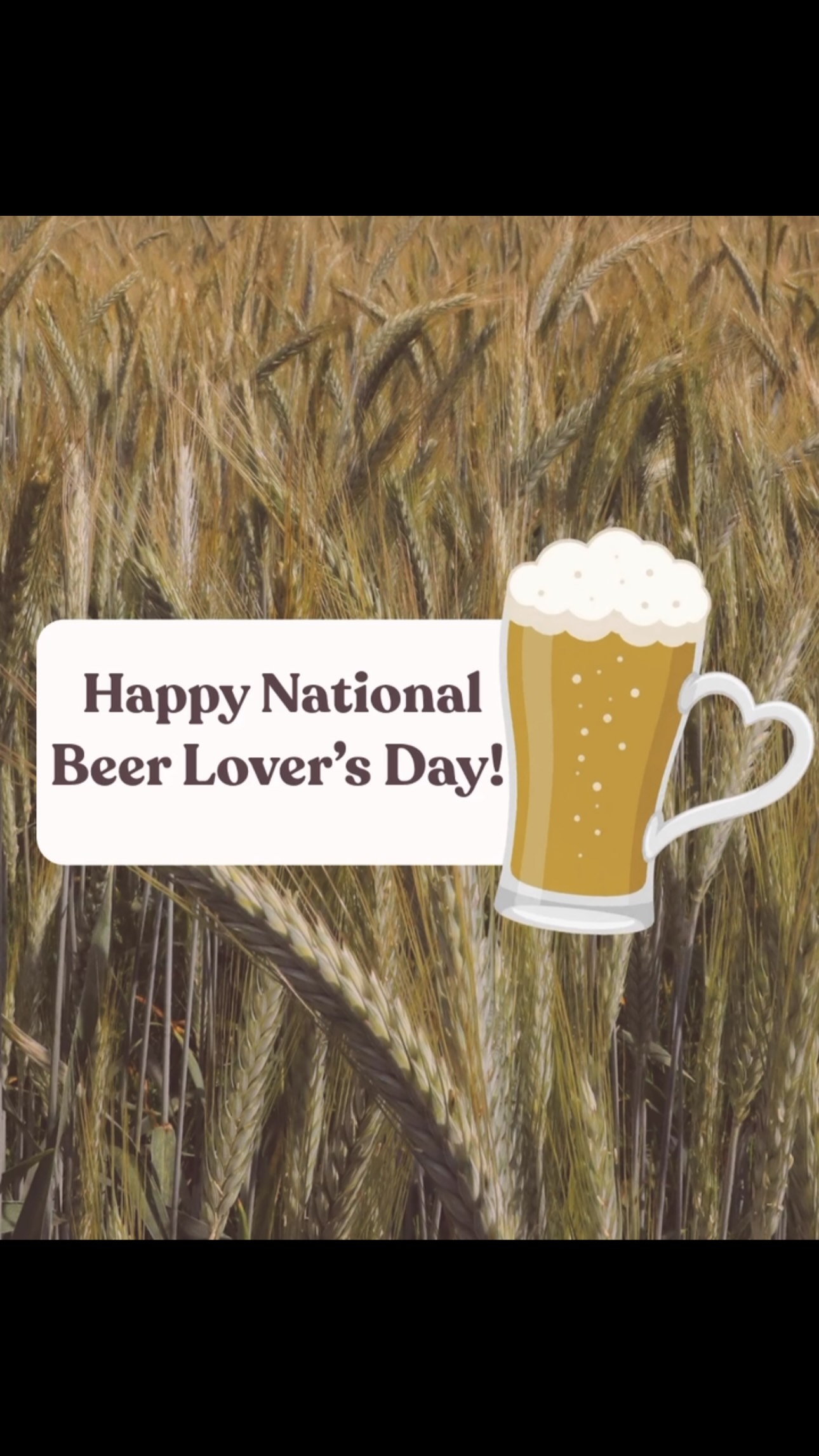 We love beer every day, but especially today 

#beer #agriculture #beerlover