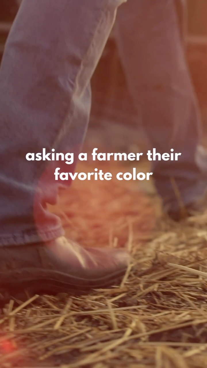 It’s hard to pick just one

#farmer #agriculture #agriculturelife #barley